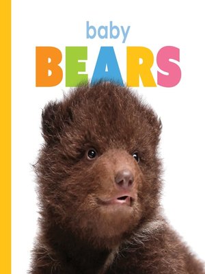 cover image of Baby Bears